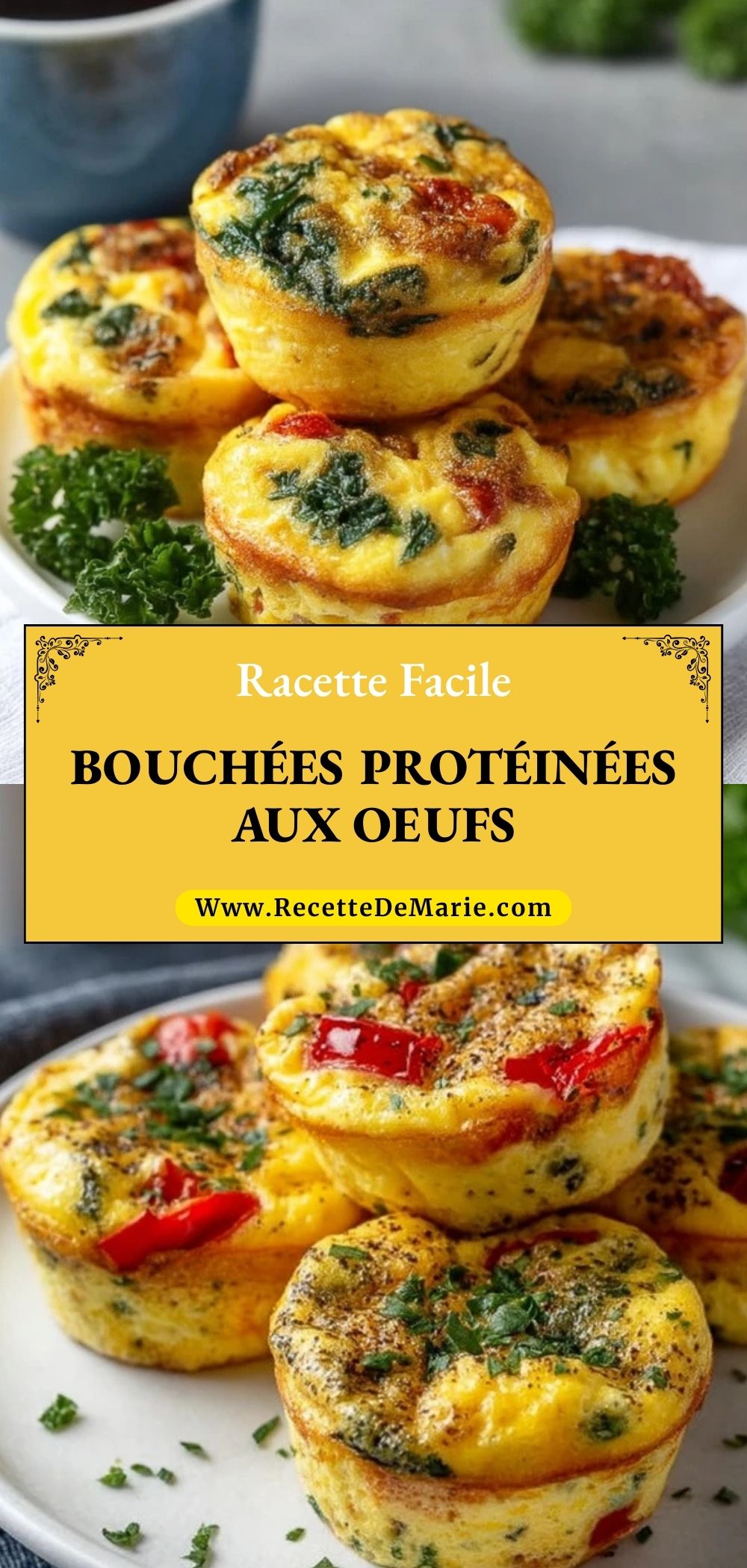 Bouchées Protéinées Aux Oeufs