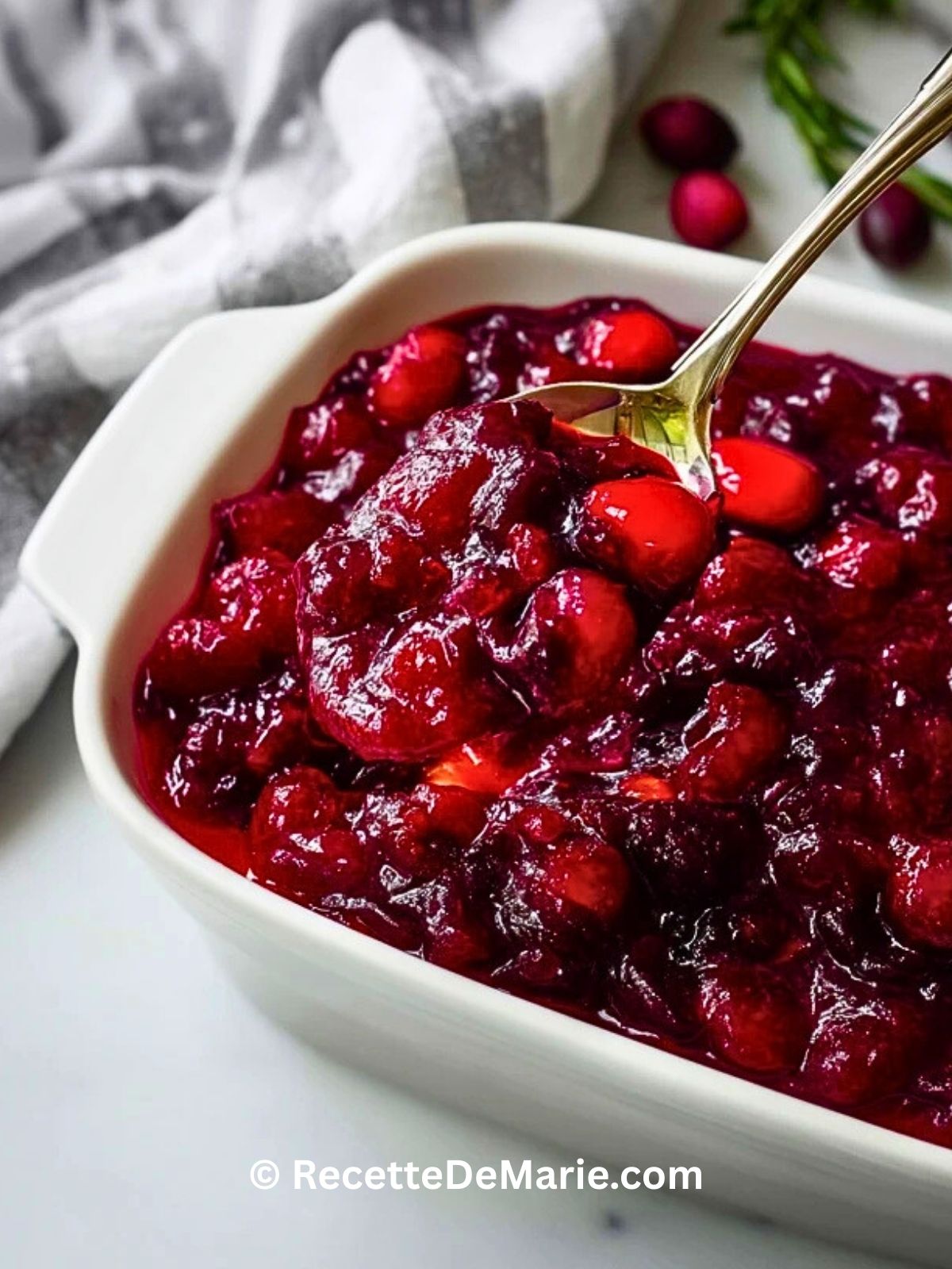 Sauce Aux Canneberges Classique