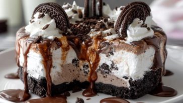 Gâteau Glacé Aux Oreos