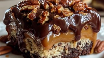 Gâteau Tortue au Chocolat