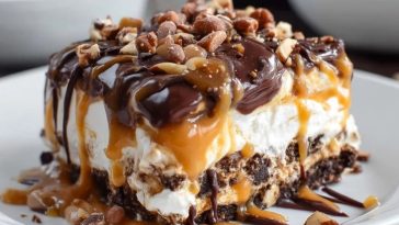 Lasagne Aux Tortues Sans Cuisson